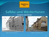 Plants: image 42 0f 42thumb